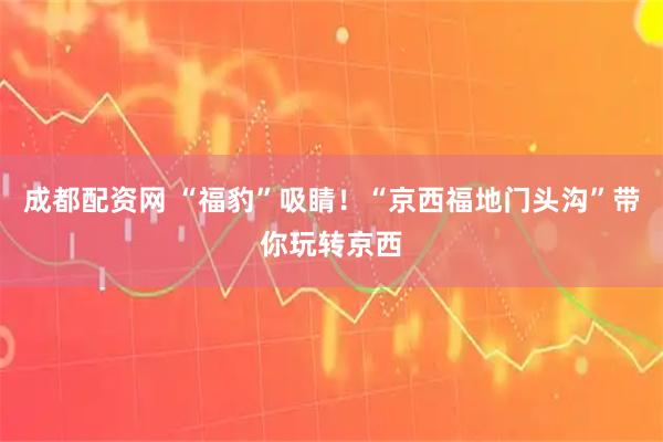 成都配资网 “福豹”吸睛！“京西福地门头沟”带你玩转京西